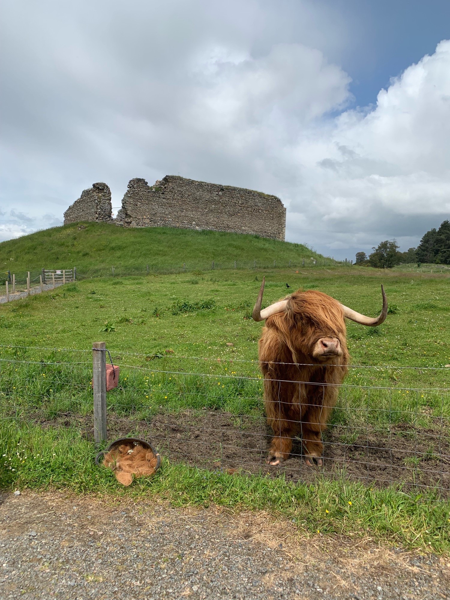 Seige Works at Castle Roy | Cairngorms Trust