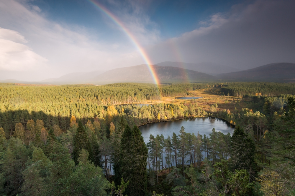 Fundraising and Communications Support for the Cairngorms Trust