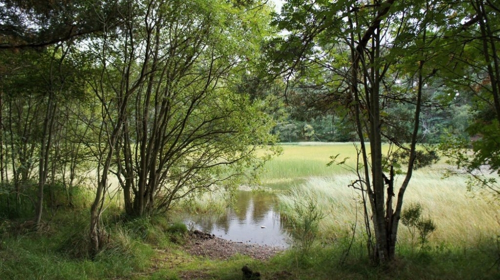 Cairngorms Trust Green Change Fund