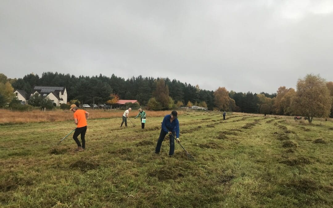 Cairngorms Trust Nature Resilience Fund update December 2022