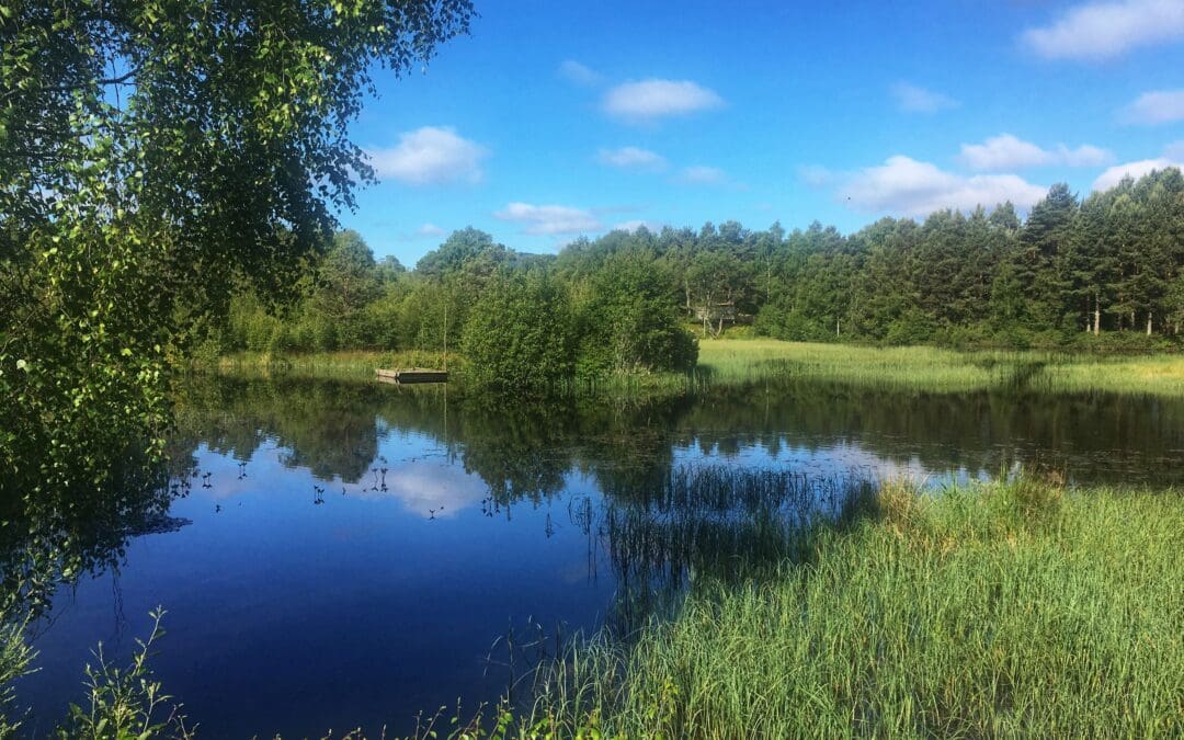 Cairngorms Trust awards £301,000 to Communities and Businesses