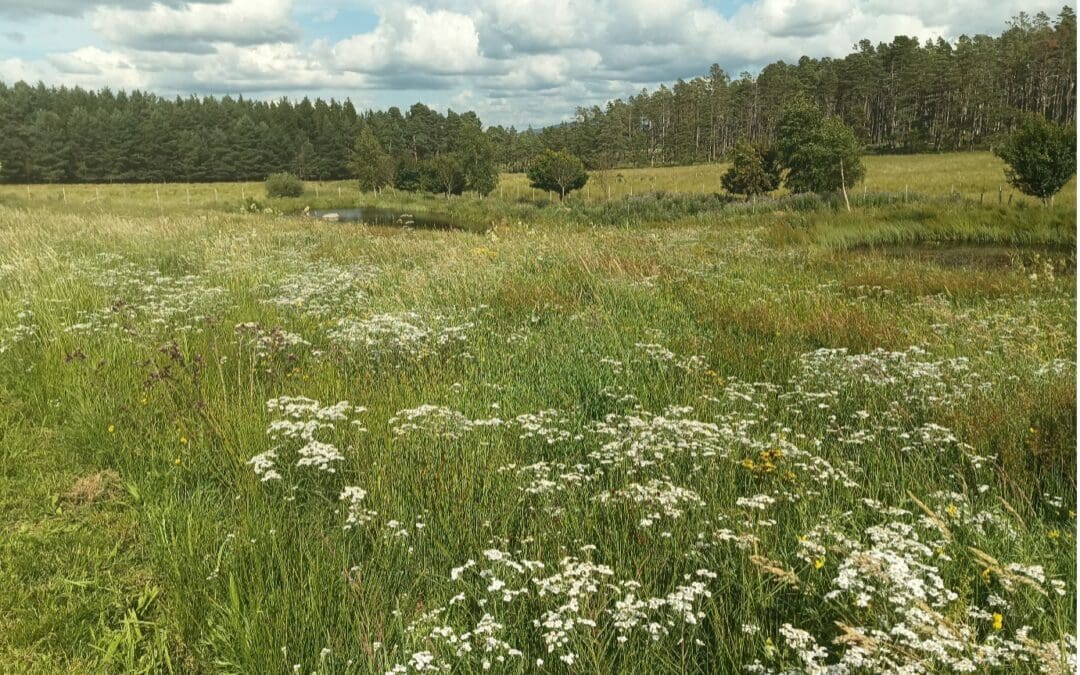 Funding announced for Cairngorms youth projects