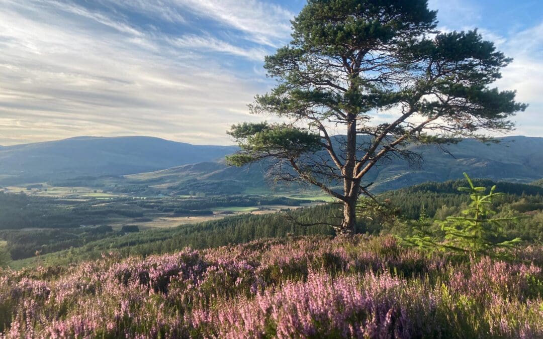 New fund launched to help Cairngorms communities